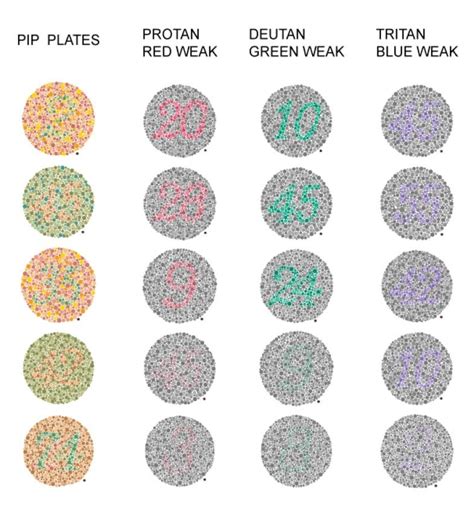 how hard is the lantern test with mild protan|deutan color blind test.